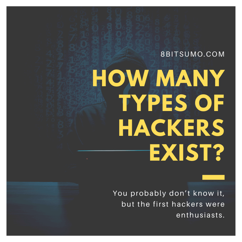 How many types of hackers exist